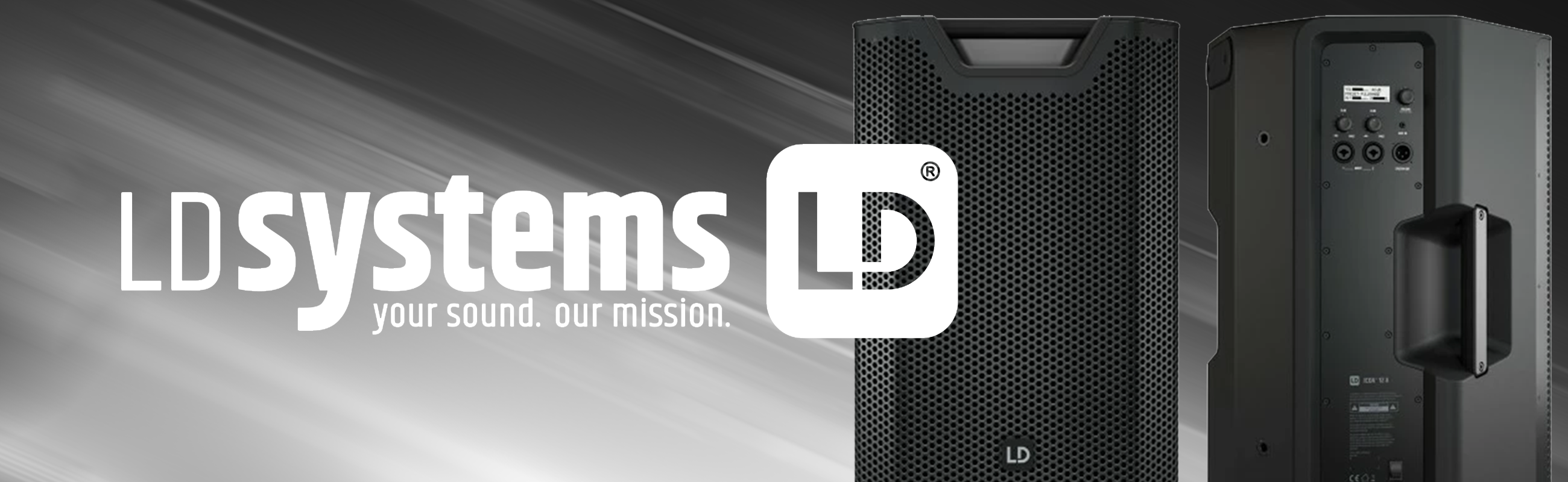 LD Systems Icoa 12