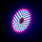 ADJ Rayzer LED Lichteffekt