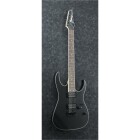 Ibanez RG421EX-BKF E-Gitarre